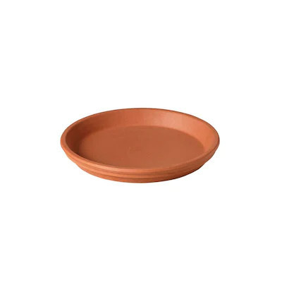 8.27-in Terracotta Clay Plant Saucer Lowes.com | Lowe's