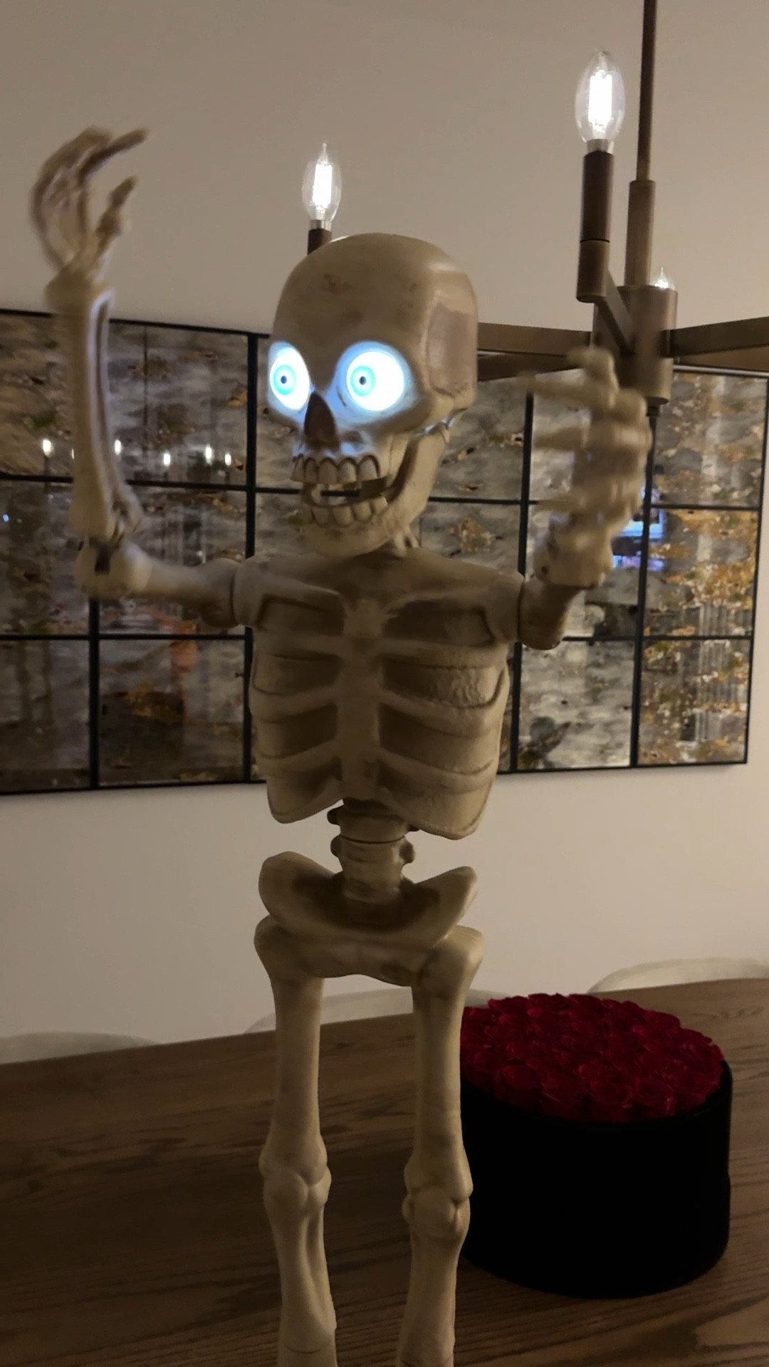 👻 This skeleton is hands down my personal favorite! 💀 It dances, sings, lights up, and cracks me up every time 😂 Got it from @HomeDepot – the kids love it too! 🎶💡 Which decoration is your fave? 🎃 #HalloweenFun #HomeDepotFinds #SpookySeasonVibes #Halloween #skeleton 

#LTKVideo #LTKHalloween #LTKHoliday