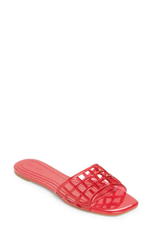 Open Edit Solis Jelly Slide Sandal in Red Tomato at Nordstrom, Size 5 | Nordstrom
