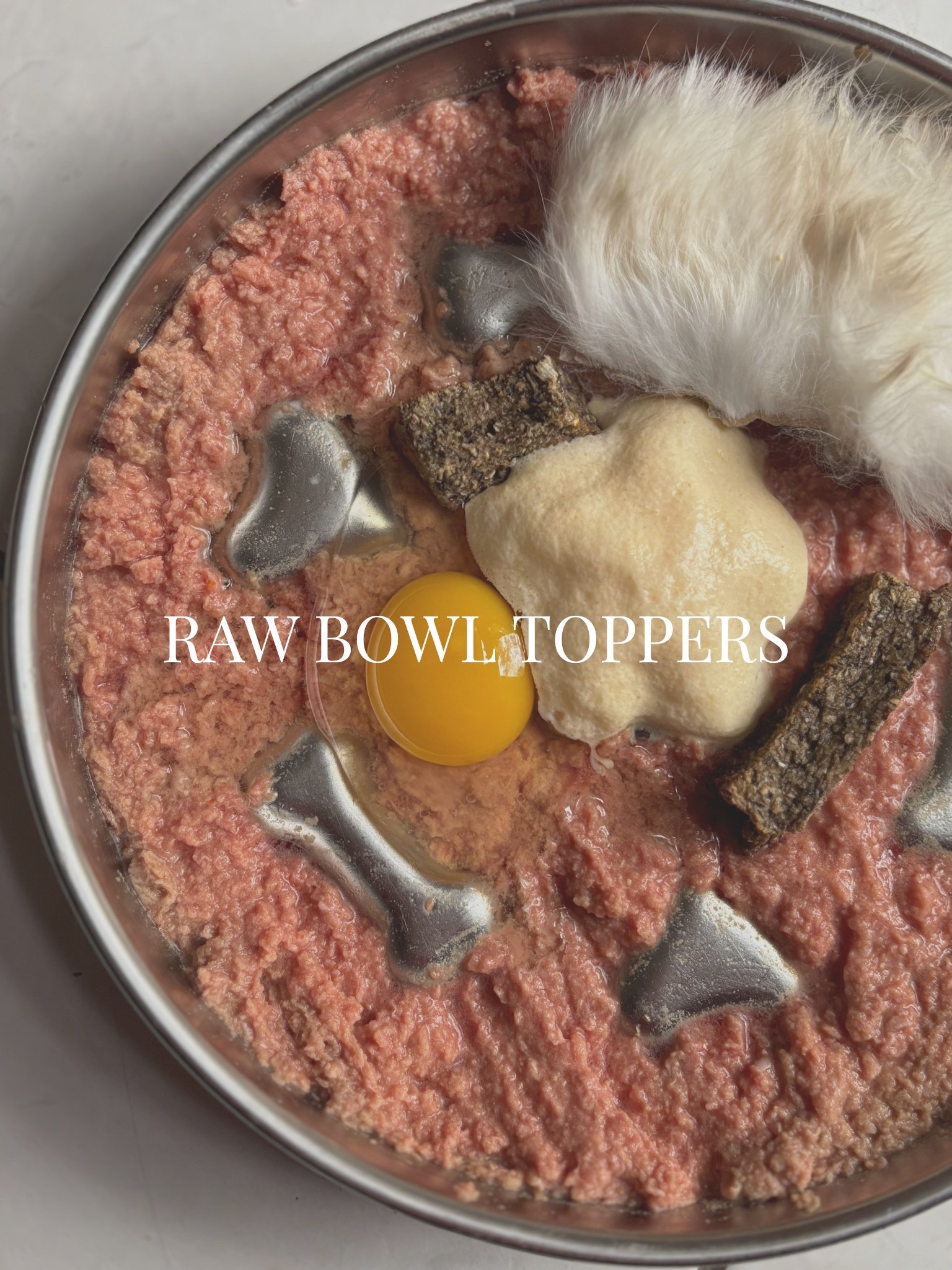 Raw bowl: toppers, extras & slow feeders #LTKDogs #LTKPets

#LTKvlog