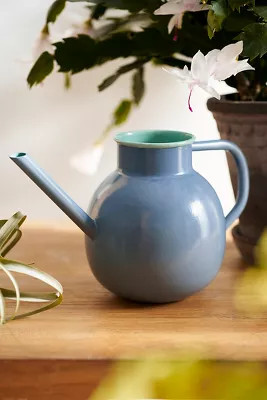 Milo Iron Watering Can | Anthropologie (US)