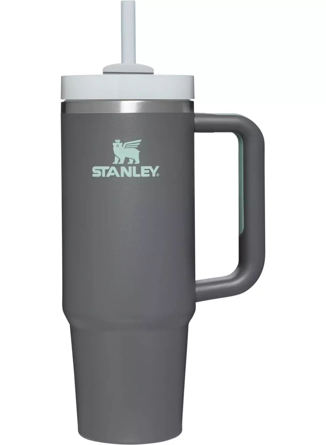 Stanley 30 oz. Quencher H2.0 FlowState Tumbler | Golf Galaxy | Golf Galaxy