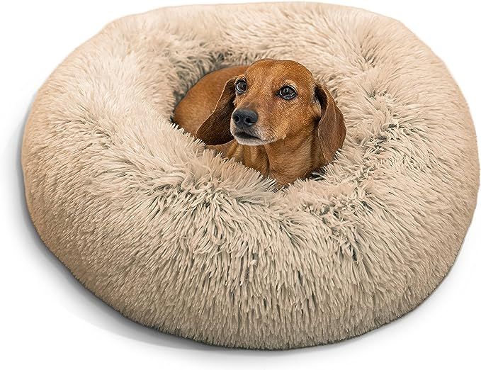 Best Friends by Sheri The Original Calming Donut Cat and Dog Bed in Shag Fur Taupe, Small 23x23 | Amazon (US)