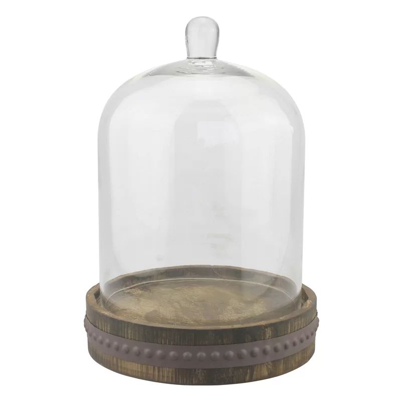 Whiddon Medium Bell Shaped Cloche | Wayfair North America