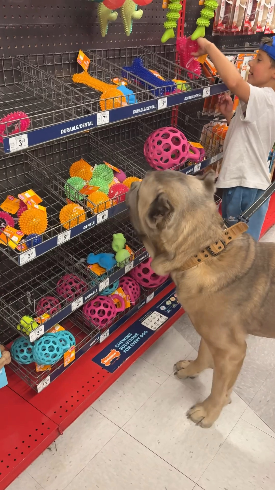 #ad at Oso’s happy place @petco picking out toys & treats! 🦴

#PetcoPartner

#LTKKids #LTKSeasonal