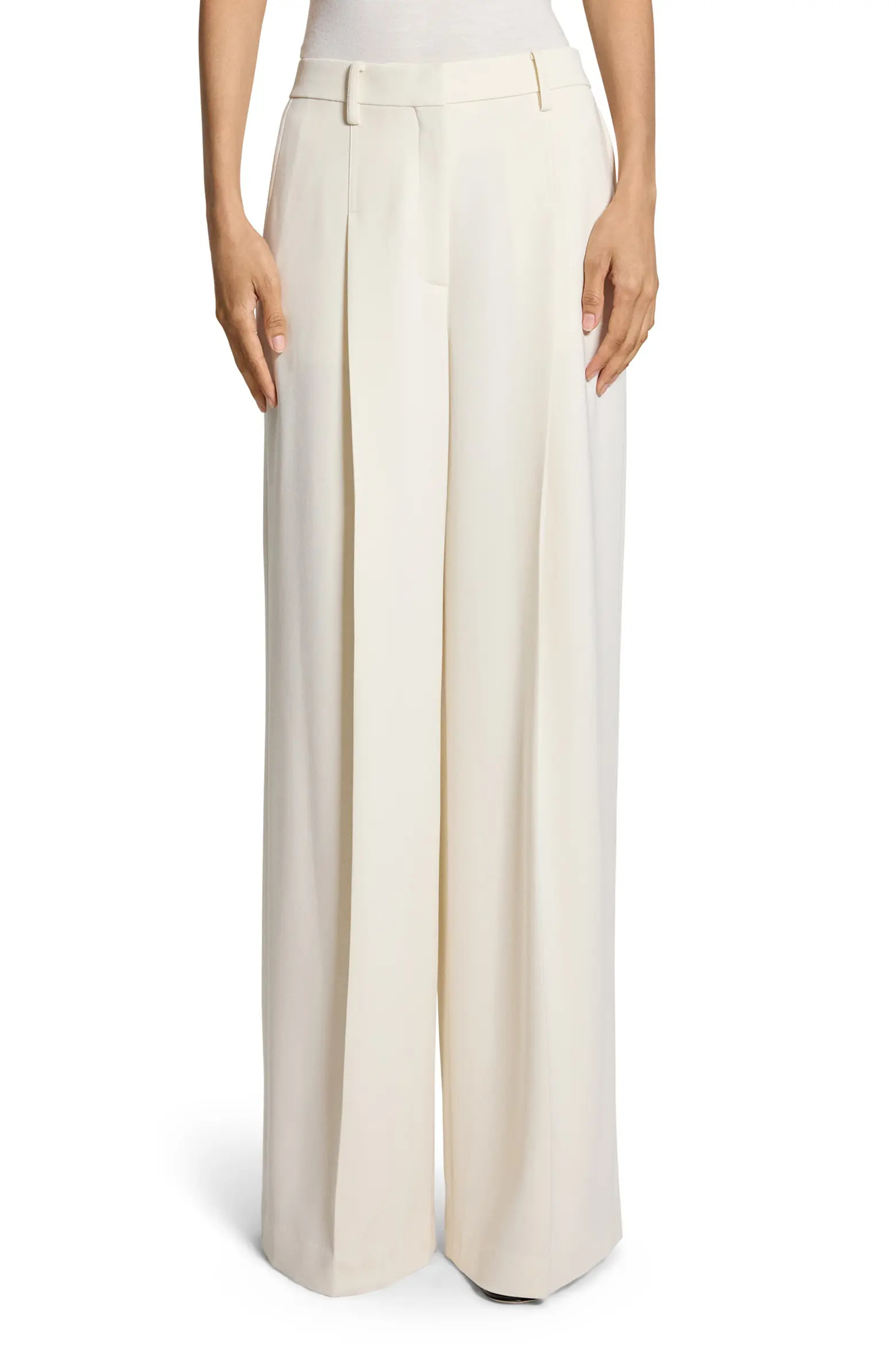 Pleated High Rise Wide Leg Pants (Women) | Nordstrom | Nordstrom