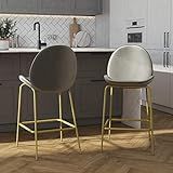 CosmoLiving by Cosmopolitan Astor Upholstered Counter Stool Grey Velvet with Brass Metal Leg, Light  | Amazon (US)