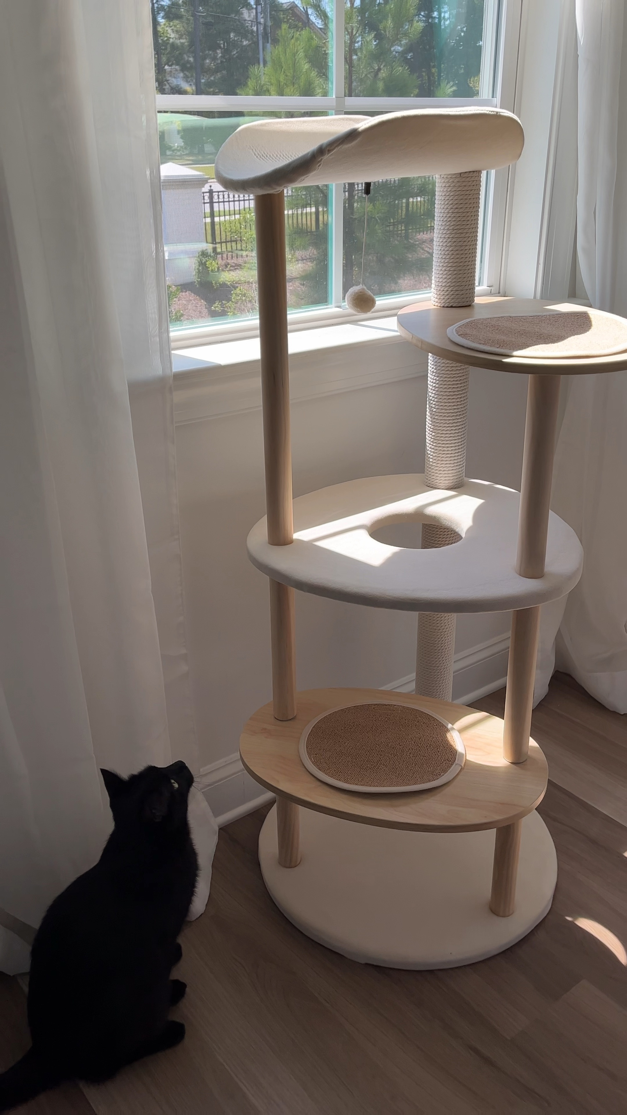 Moblit and his new cat tree. He loves it!!  #cattree

#LTKunder100 #LTKhome