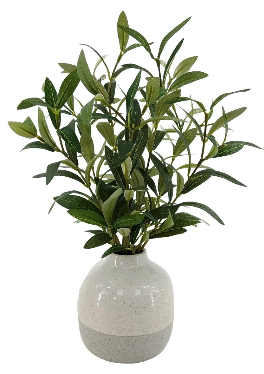Olive Plant in Vase - Such cute home decor - Under $20

#LTKSpringSale #LTKSeasonal #LTKHome