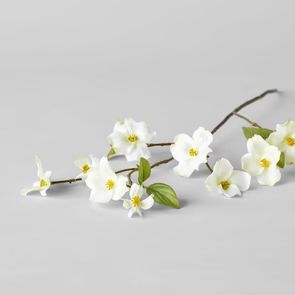 EcoFaux Dogwood Branch, 36.5” | Bloomist