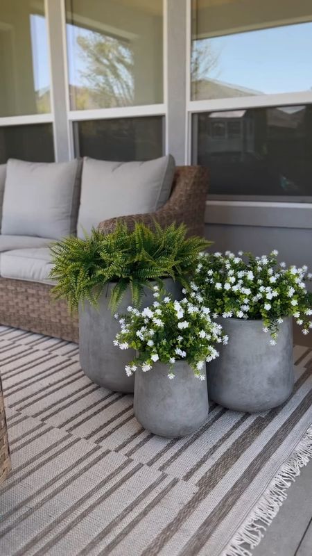 The white flowers keep selling out but they come in multiple quantities and colors! Plus they look perfect in the viral amazon planters 

#LTKhome #LTKSeasonal #LTKsalealert