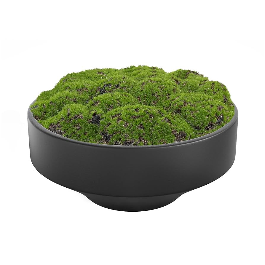 NAHARO New Moss Bowl, Handmade Ceramic. 11" Artificial Moss Bowl Centerpiece for Home Decoration,... | Amazon (US)