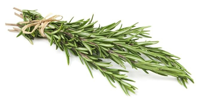 Rosemary, Locally Grown, 2 Bunches | Amazon (US)