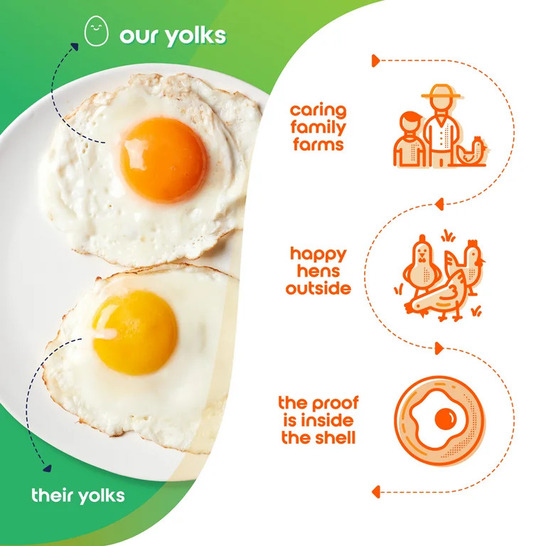 Happy Egg Co. Organic Free-Range Large Brown Eggs, 12 Count (Dozen) | Walmart (US)