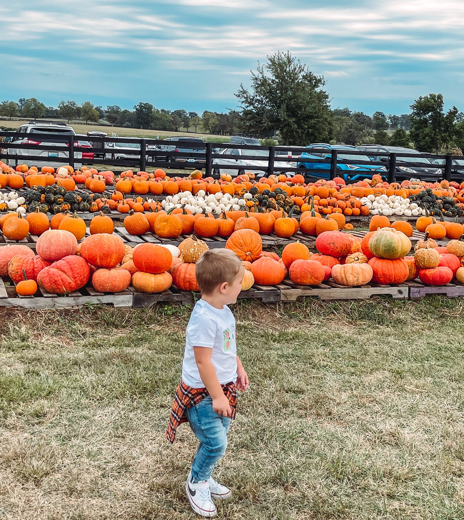 Toddler Fall Fashion 🎃 

#LTKSeasonal #LTKHalloween #LTKkids