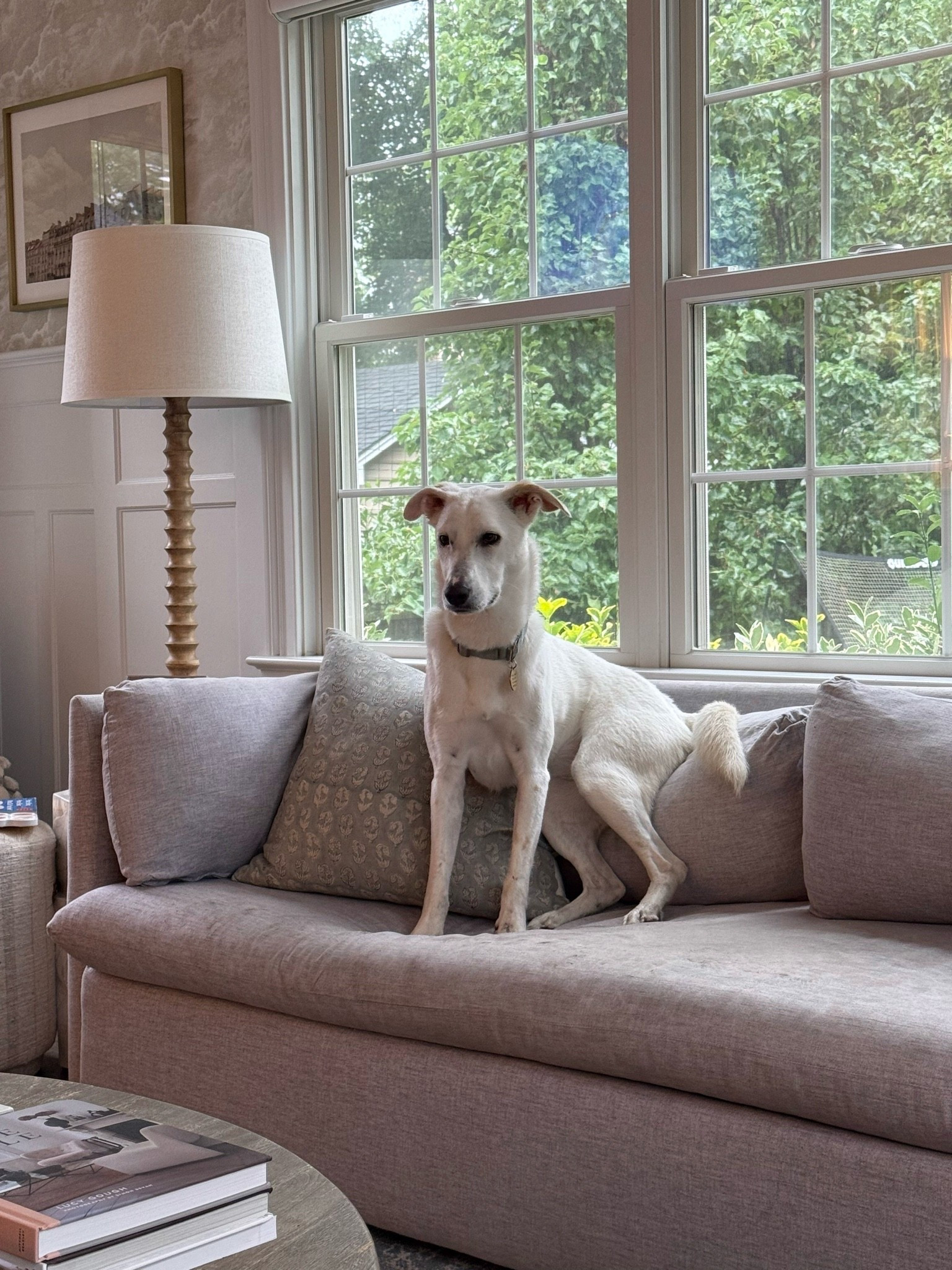 A performance sofa that can handle real life and still look beautiful is always worth it. I love the soft neutral fabric, deep comfortable seat, and the fact that it works just as well for everyday family life, pets included.

performance sofa, pet friendly sofa, family room furniture, neutral sofa, durable upholstery, living room decor, comfortable couch, family friendly furniture, neutral living room, cozy home decor, timeless furniture, girlonthehudson

#LTKSeasonal #LTKHome #LTKdayinmylife