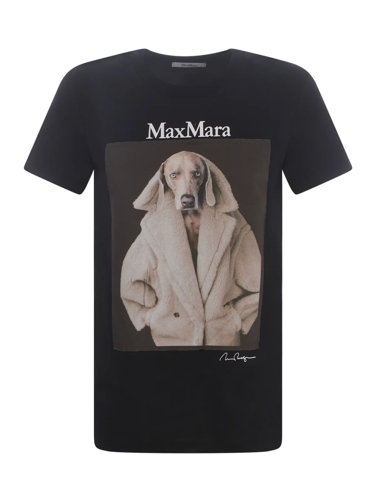 Max Mara Graphic Printed Crewneck T-Shirt | Cettire Global