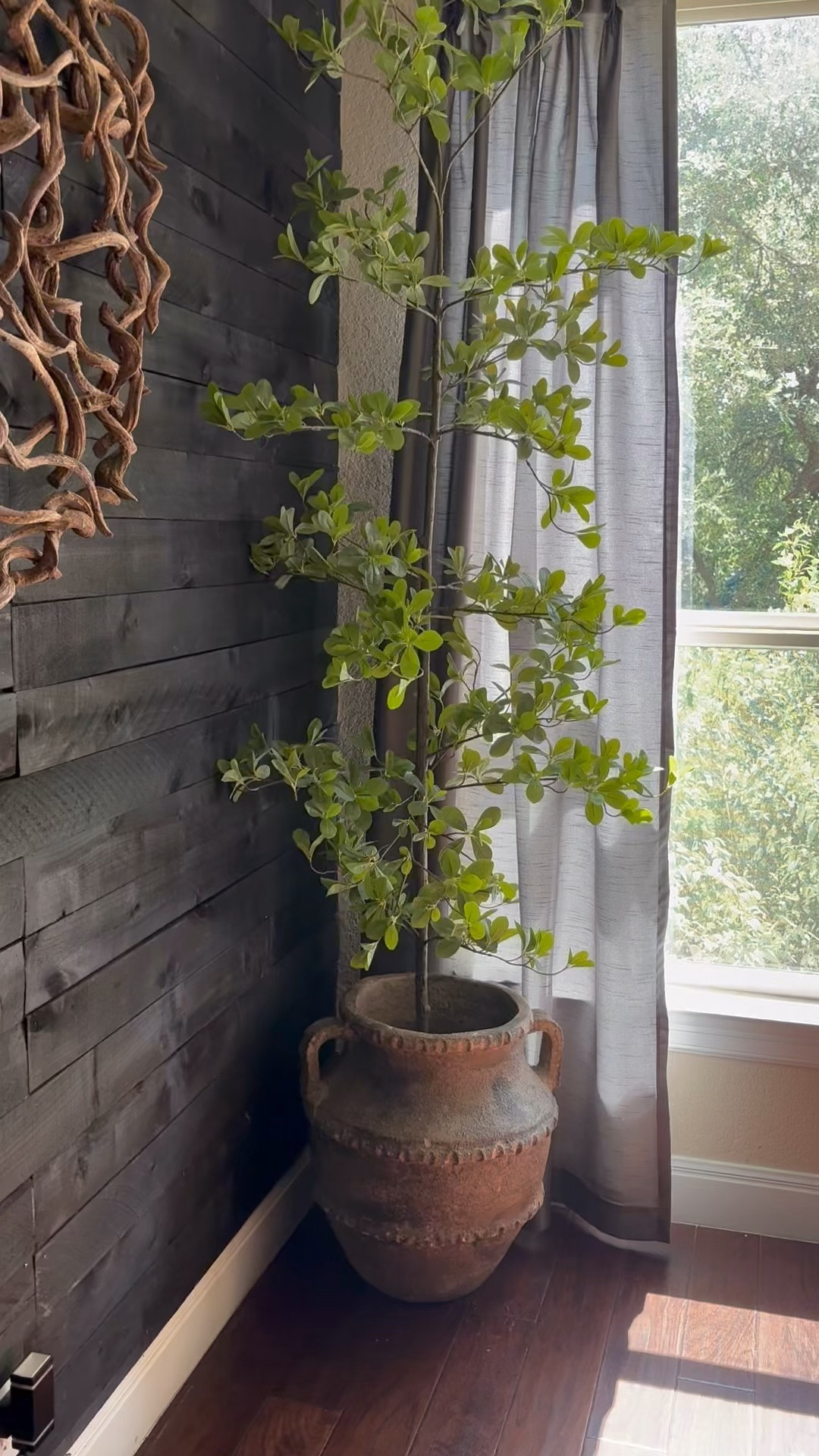 🌿❤️Love the planter and tree!
Beautiful look…

#fyp #planter #homedecor

#LTKActive #LTKHome #LTKdayinmylife