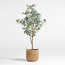 Faux Silver Dollar Eucalyptus Tree 8' + Reviews | Crate & Barrel | Crate & Barrel