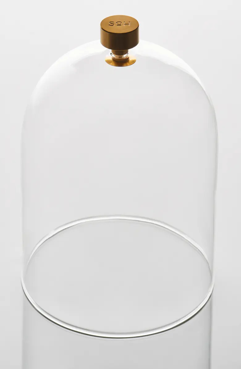 Glass Cloche | Nordstrom