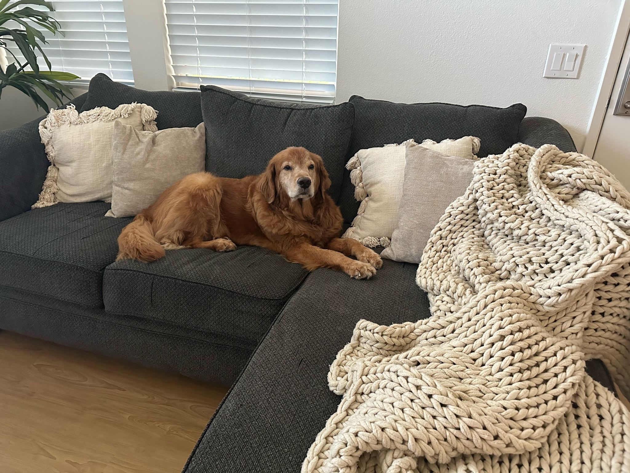 cozy weekend. ✨ living room, decor, throw pillows, throw blankets, cream pillows, chunky blanket, tassel pillows  

#LTKhome #LTKFind #LTKunder100