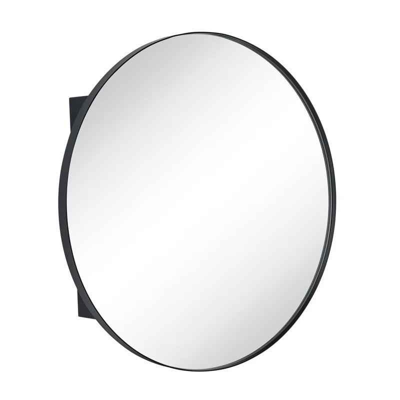 Seenaa W H Surface Framed Medicine Cabinet with Mirror and 2 Adjustable Shelves | Wayfair North America