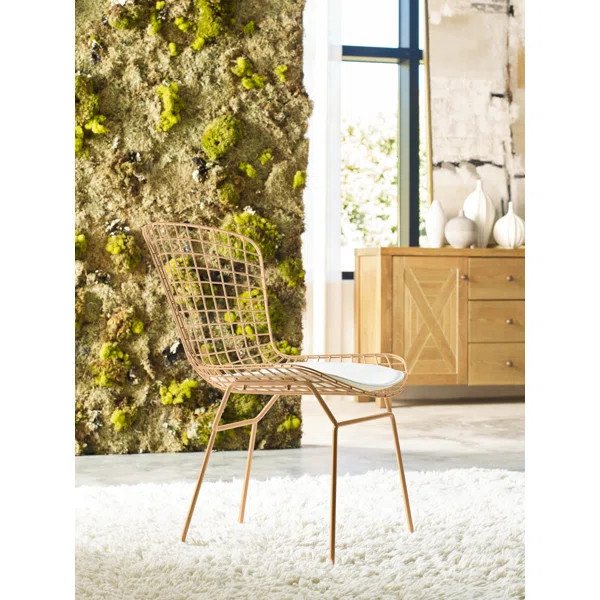 Holly Wire Metal Side Chair | Wayfair Professional