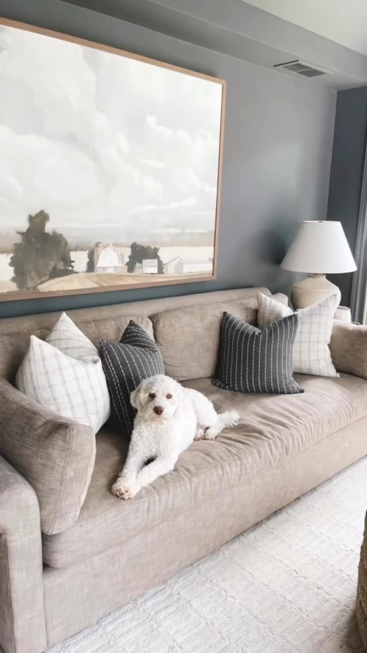 Throw pillow, pillow combinations, sofa pillows
#porcheandco

#LTKstyletip #LTKhome #LTKSeasonal