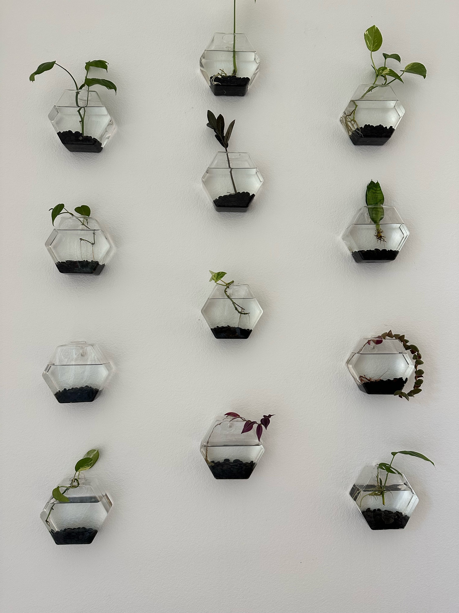 Propagation wall!

#LTKfindsunder50 #LTKhome #LTKfindsunder100