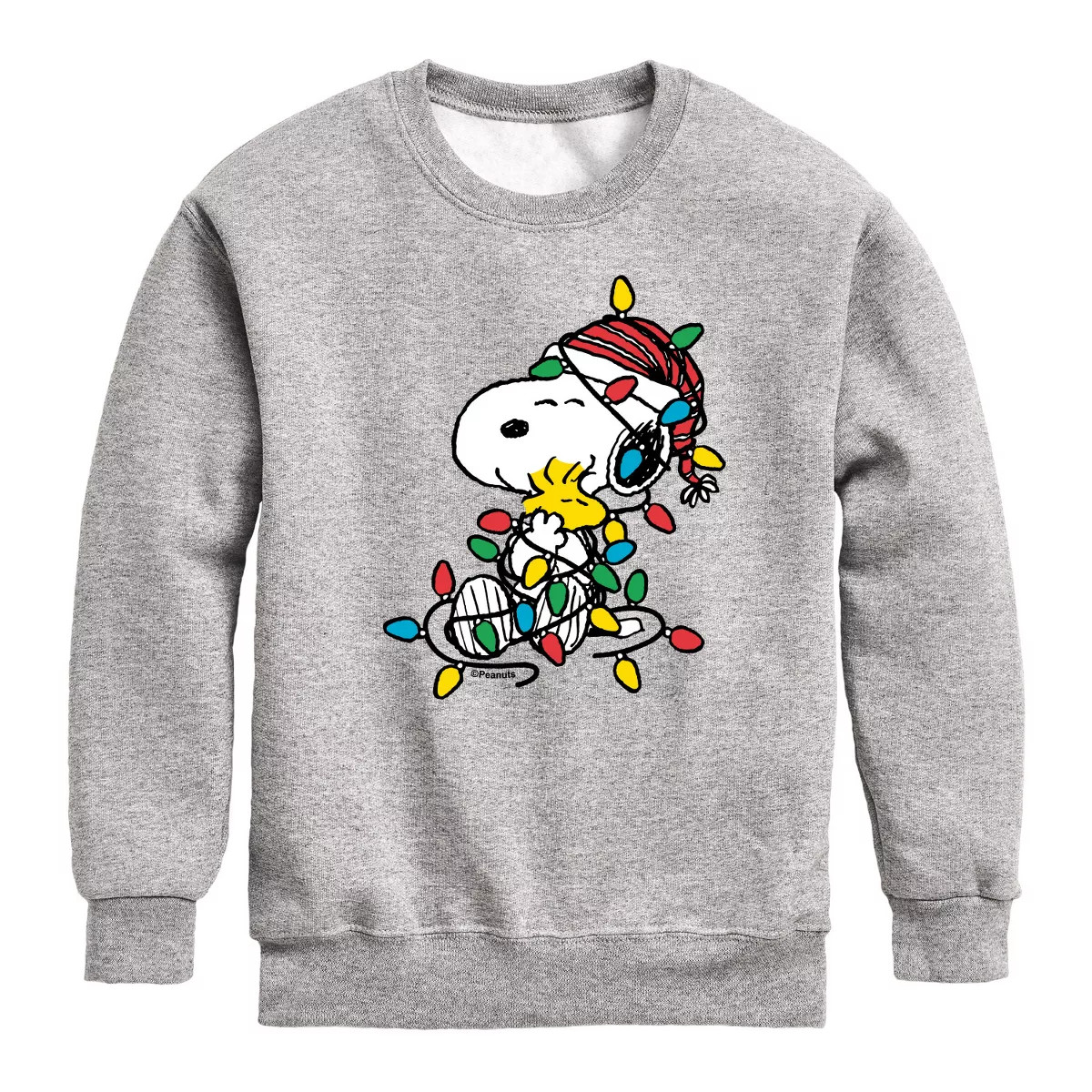 Boys' - Peanuts - Snoopy Christmas Lights Graphic Long Sleeve Fleece Sweatshirt | Target