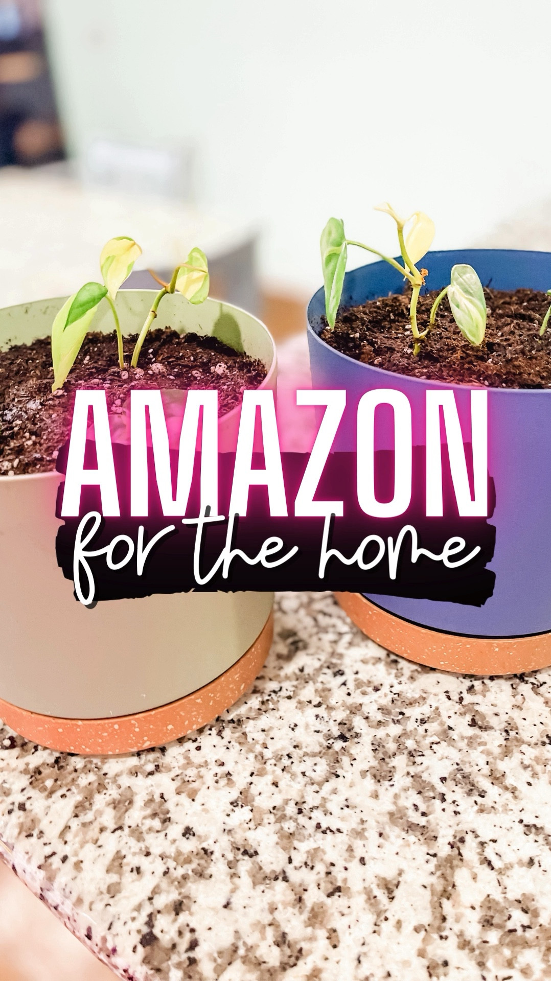 Propagating and planting indoor plants 

** make sure to click FOLLOW ⬆️⬆️⬆️ so you never miss a post ❤️❤️

📱➡️ simplylauradee.com

home decor | affordable home decor | cozy throw blanket | home finds | cozy home | welcome | home gadgets | cleaning | front porch | kitchen finds | kitchen gadgets | kitchen must haves | organization | kitchen organization | kitchen essentials | farmhouse | work from home | family friendly | target | target finds | target home | walmart | walmart finds | walmart home | amazon | found it on amazon | amazon finds | amazon home

#LTKHome #LTKMidsize #LTKVideo