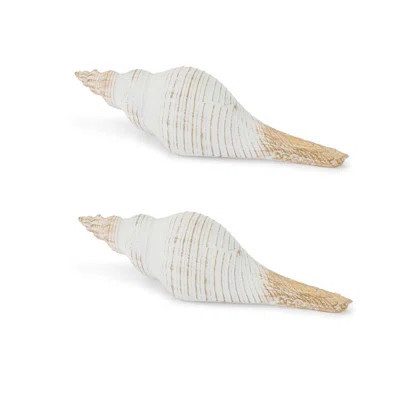 Whitewashed Coastal Seashell Décor (Set of 2) | Wayfair North America