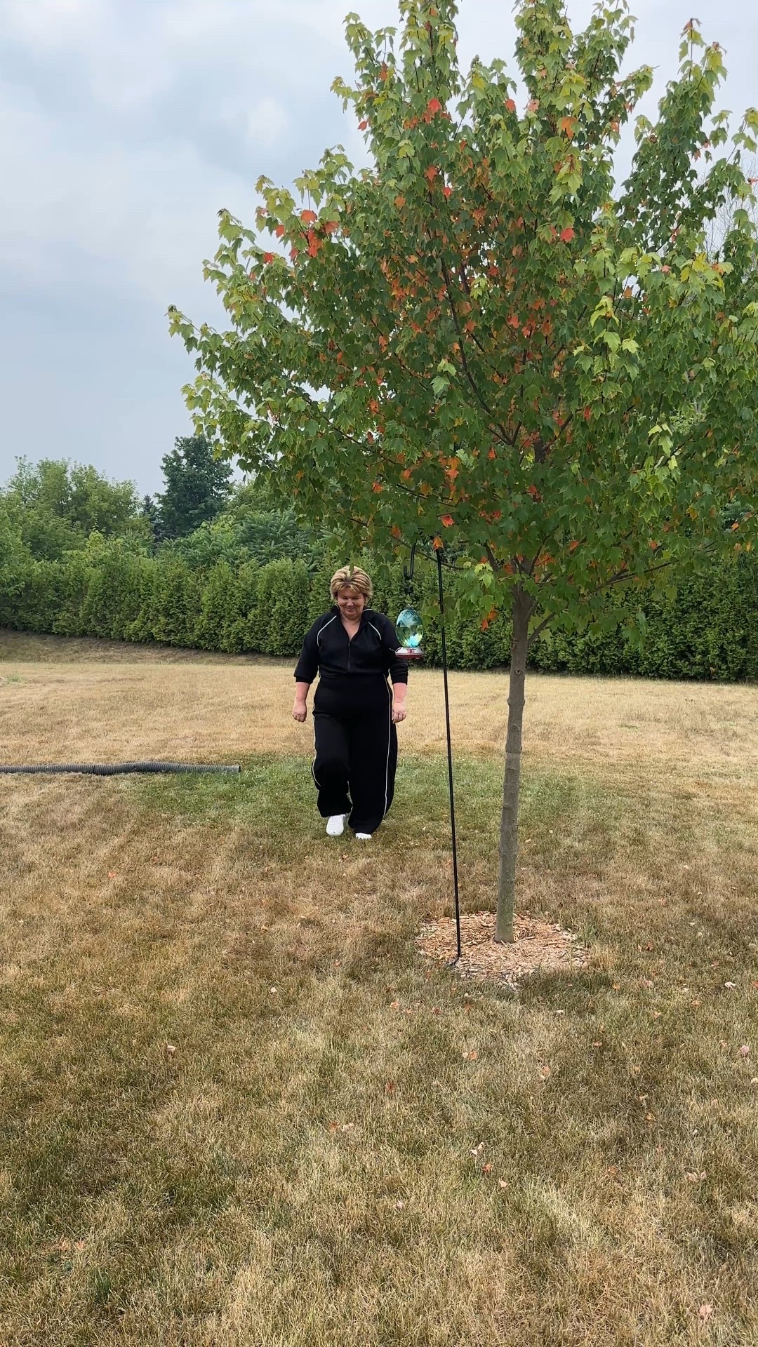 Love this brand new SPANX AirEssentials Pique Half Zip Long Sleeve Jumpsuit! I’m wearing size petite 1X.

New customers will receive 15% off plus free shipping! Code:  SWCXSPANX 
@spanx #spanxpartner #ad

#LTKOver40 #LTKPlusSize #LTKPetite