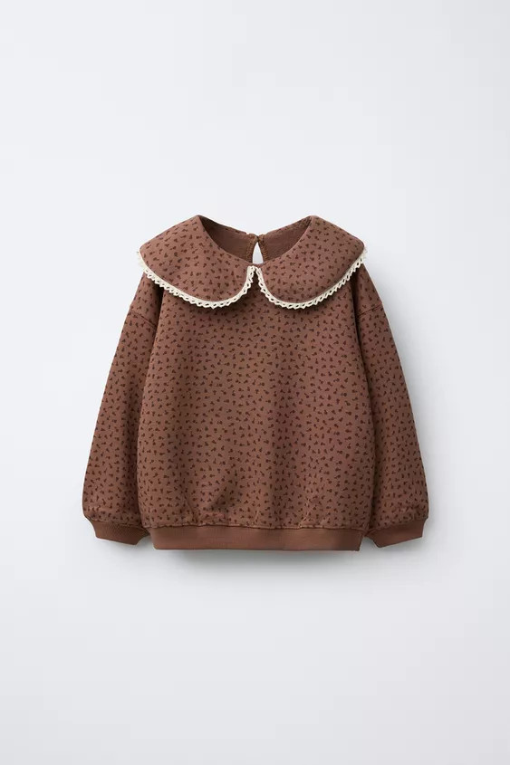 PETER PAN COLLAR LACE TRIM PRINTED SWEATSHIRT | Zara US