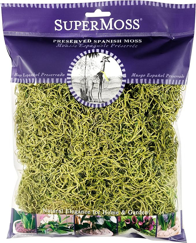 SuperMoss (26960) Spanish Moss Preserved, Chartreuse, 4oz | Amazon (US)