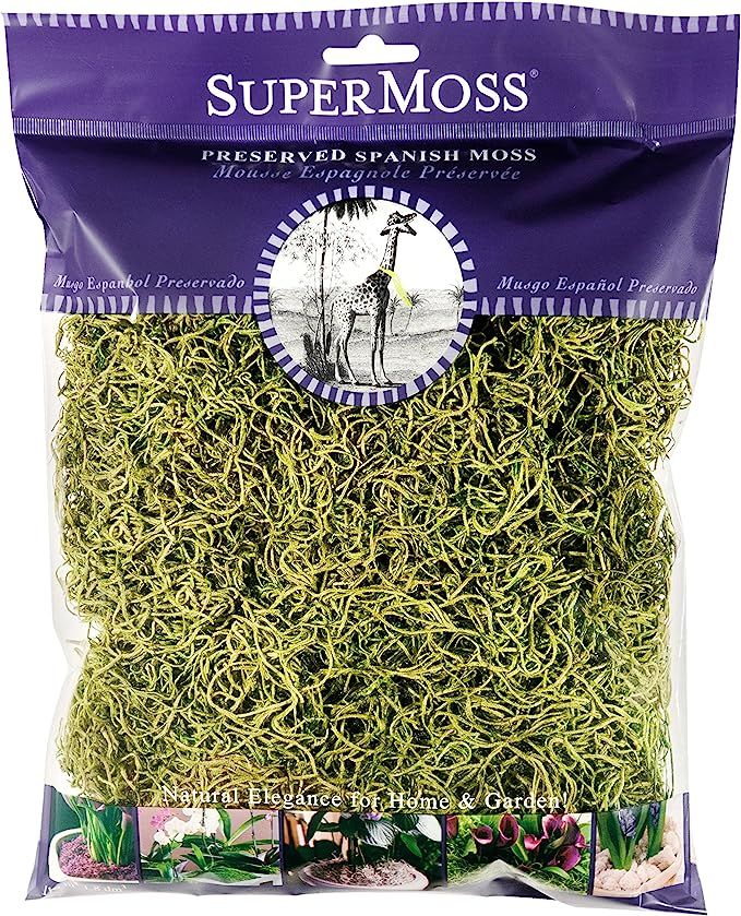 SuperMoss (26960) Spanish Moss Preserved, Chartreuse, 4oz | Amazon (US)