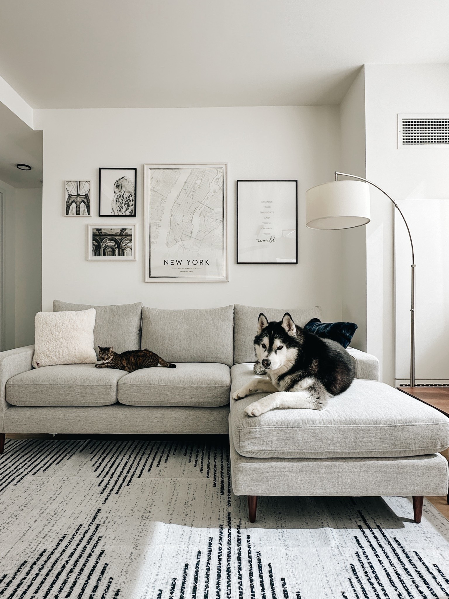 Mid century modern pet friendly home. Pet friendly sofa. 

#LTKHome #LTKPets
