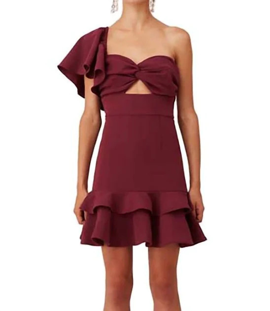 Delight Mini Dress in Plum | Shop Premium Outlets
