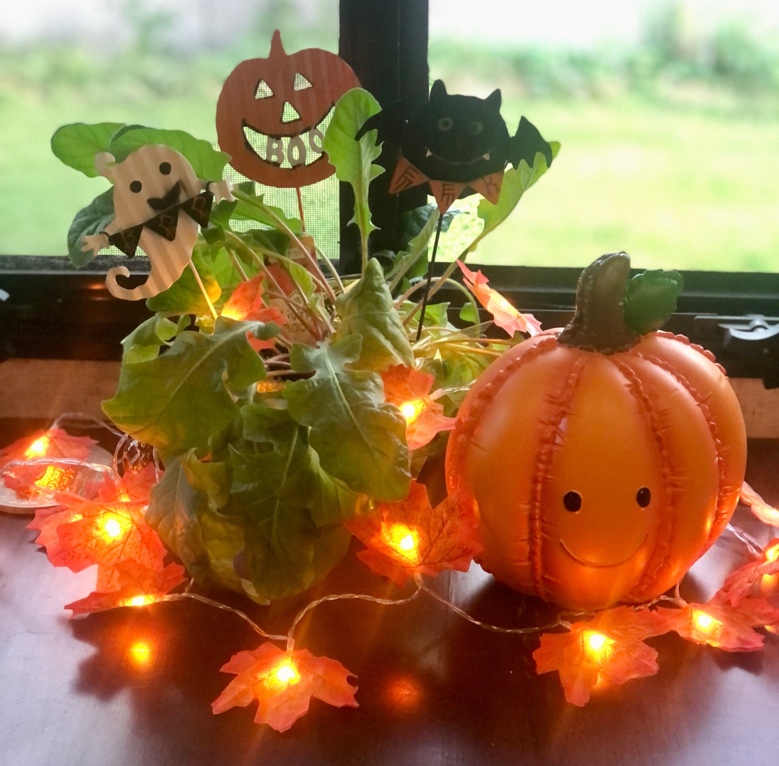 Fall decor
Fall decorations
Halloween decorations
Pumpkins

#LTKHalloween #LTKhome #LTKSeasonal