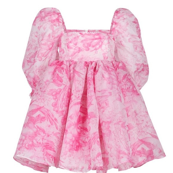 NWOT Selkie BabyDoll Pink & White Toile Mini Puff Empire Waist Dress GORGEOUS L | Poshmark