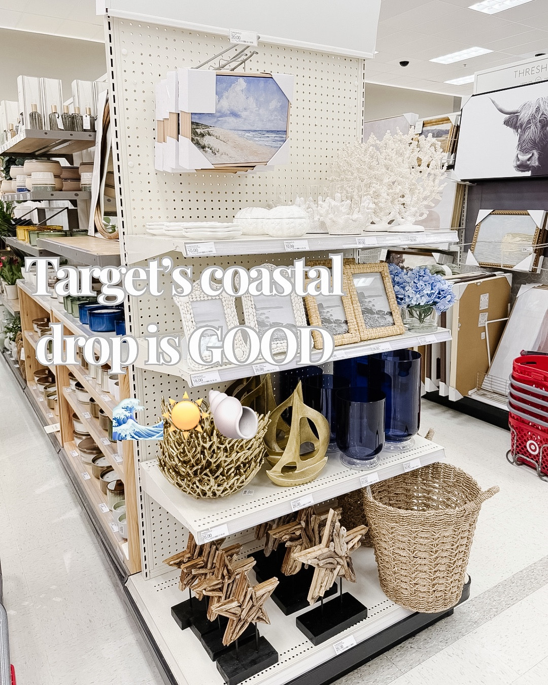 Love these coastal finds from @Target #target #coastaldecor #homedecor #interiordesign 

#LTKHome #LTKSaleAlert