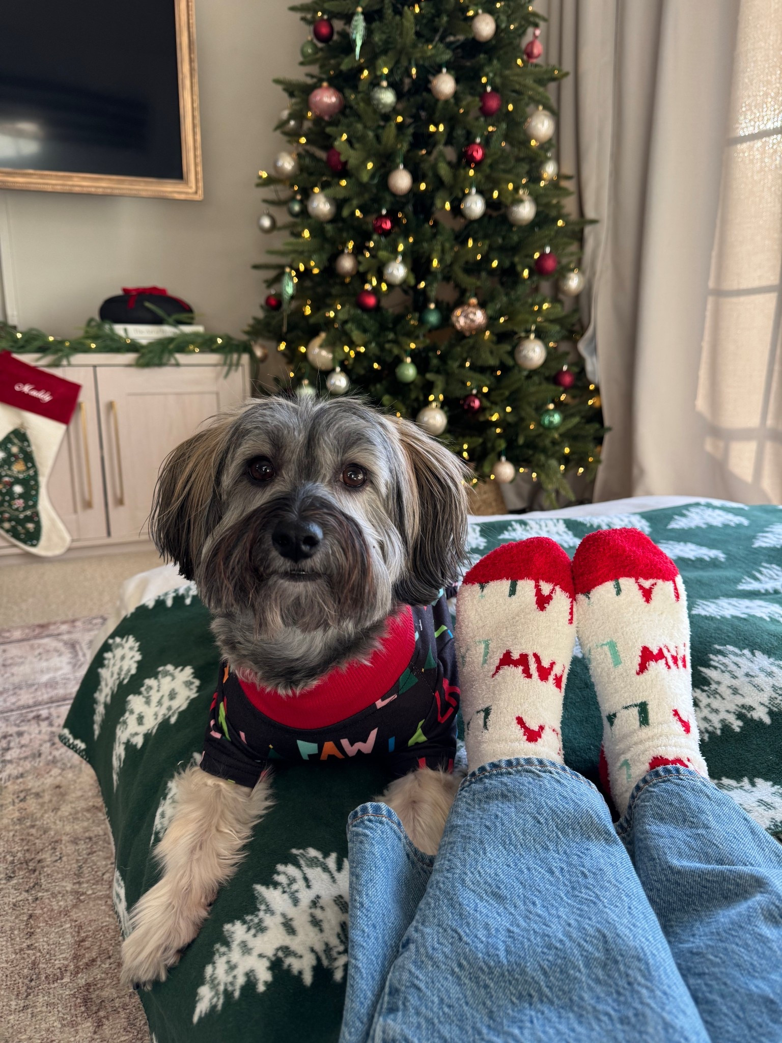 Matching Finn 🎅🏼🌲🥰🐾 his Christmas pjs + my socks are from @Petco!! #petcopartner #ad 

#LTKFindsUnder50 #LTKHoliday #LTKGiftGuide