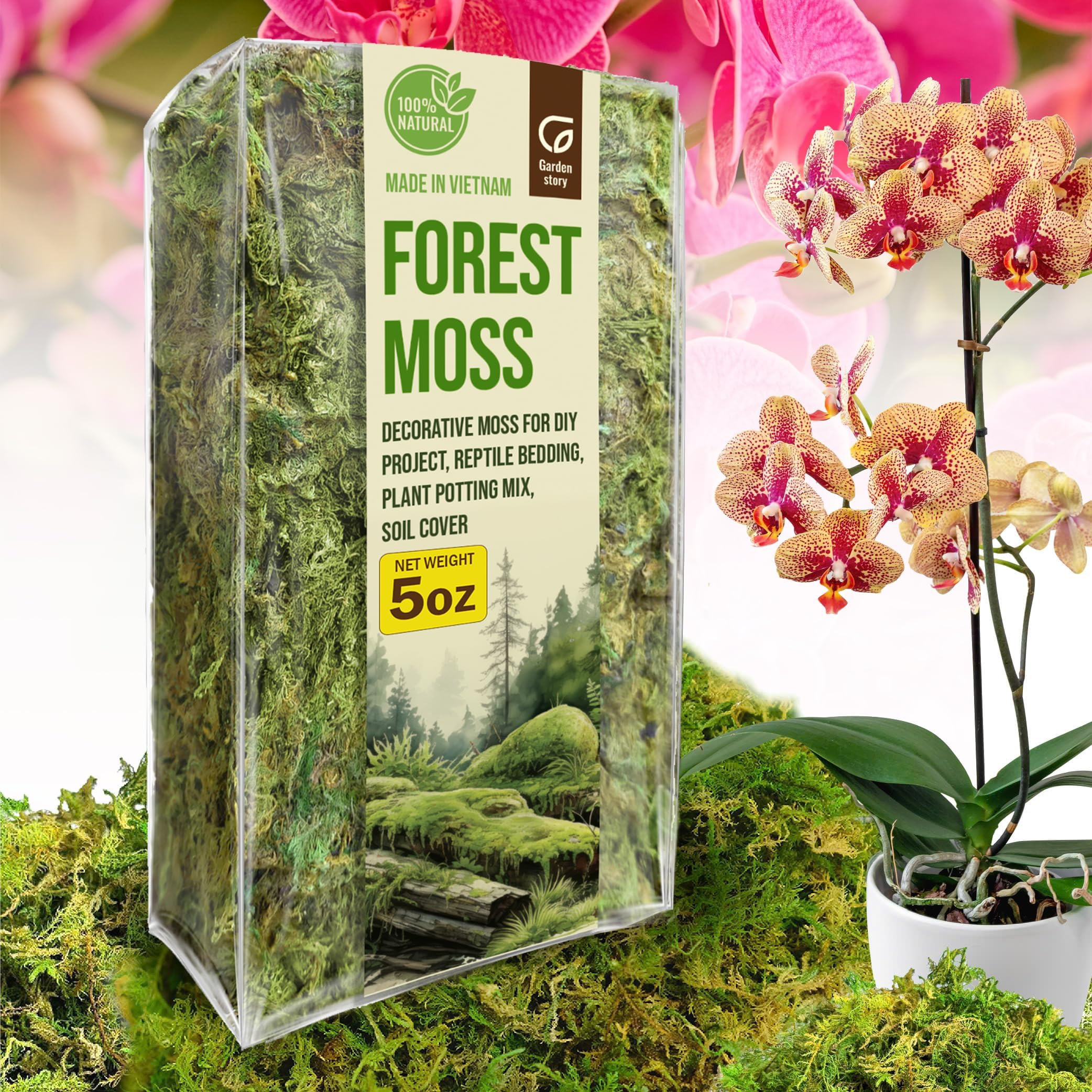5 Oz (4 Quart) Forest Moss for Indoor Plants, Dried Moss for Potted Plants Terrariums, Forest Orc... | Amazon (US)
