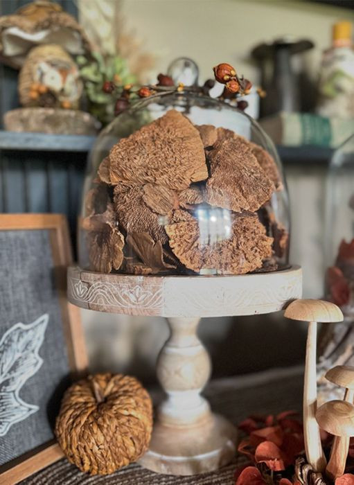 Decorative Dried Sponge Mushrooms Bag of 48 | Antique Farm House
