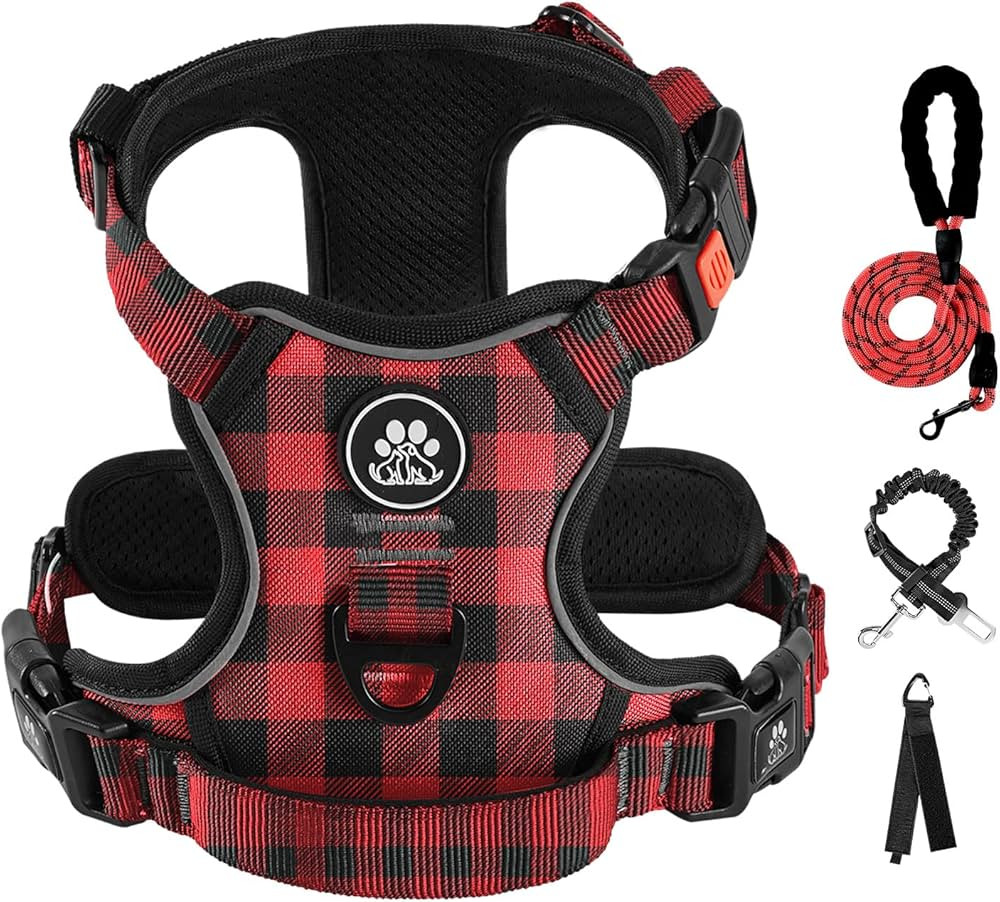IVY&LANE No Pull Dog Harness with Leash Set, Reflective No Choke Pet Vest,Adjustable Oxford Dog V... | Amazon (US)
