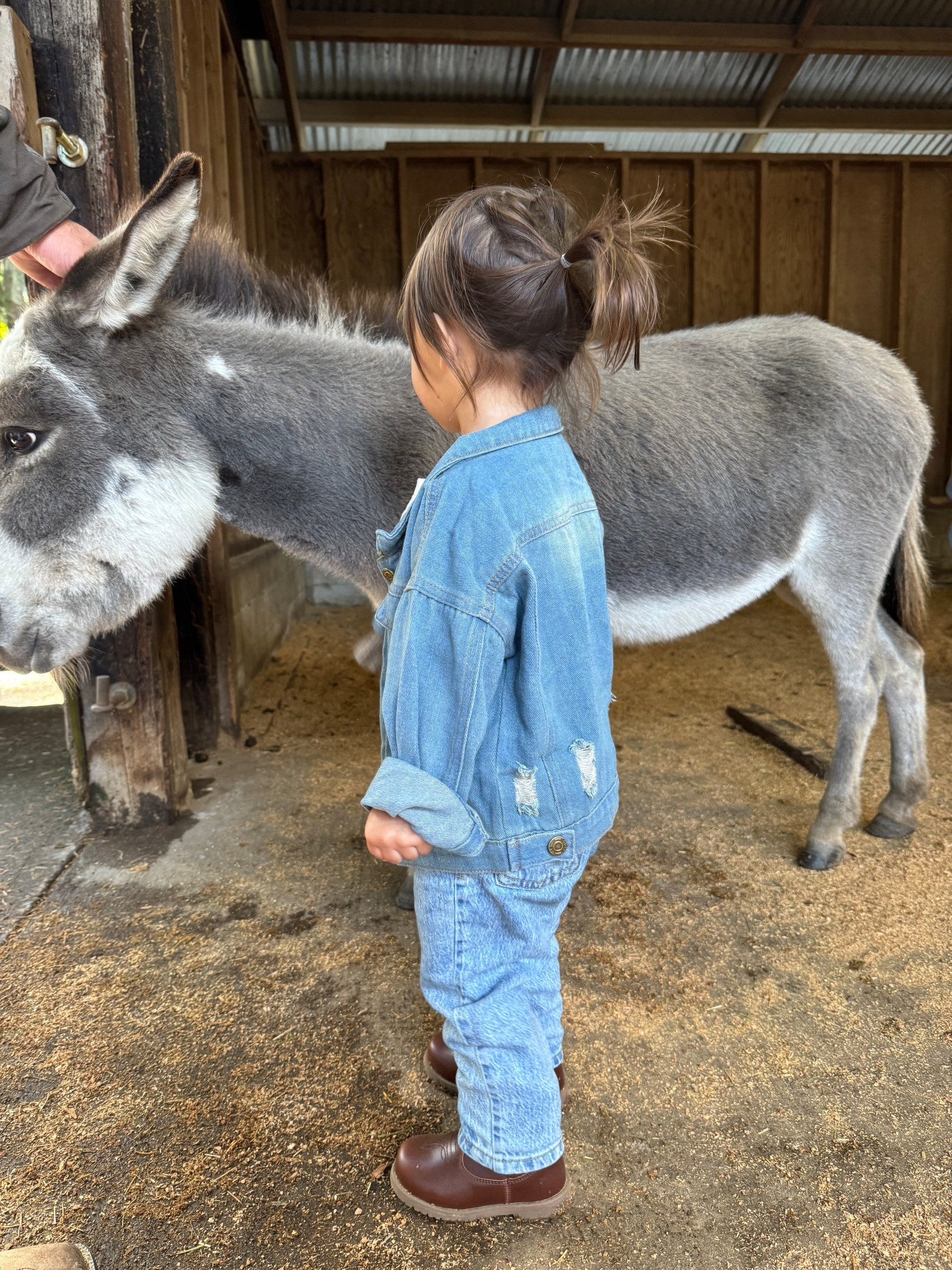 Pumpkin patch, petting zoo, fall outfit, toddler, baby, target, amazon 

#LTKKids #LTKSeasonal #LTKHalloween
