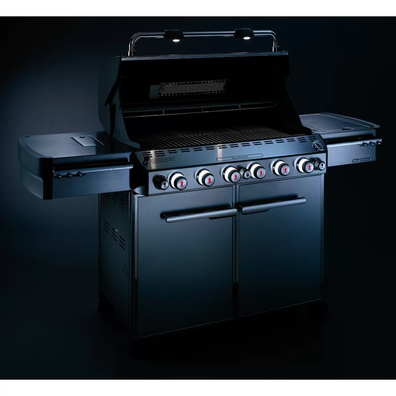 Weber Summit S-670, Stainless Steel | Wayfair North America