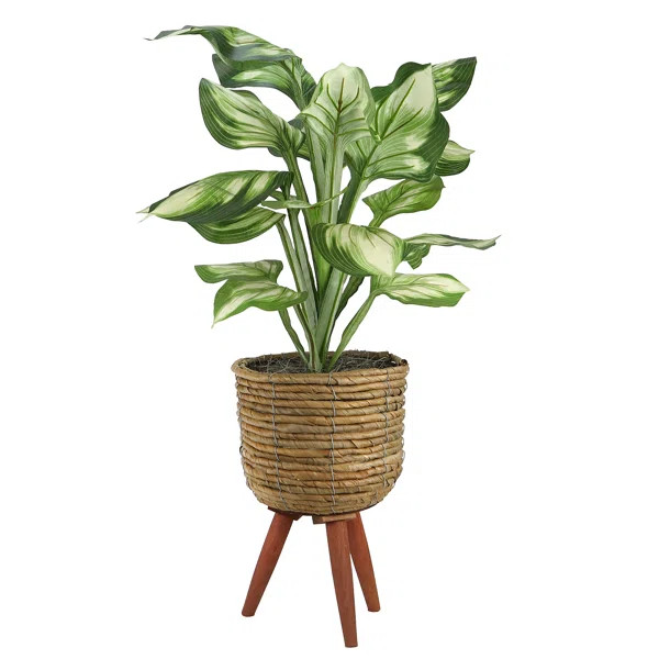 28'' Faux Foliage Plant in Basket | Joss & Main