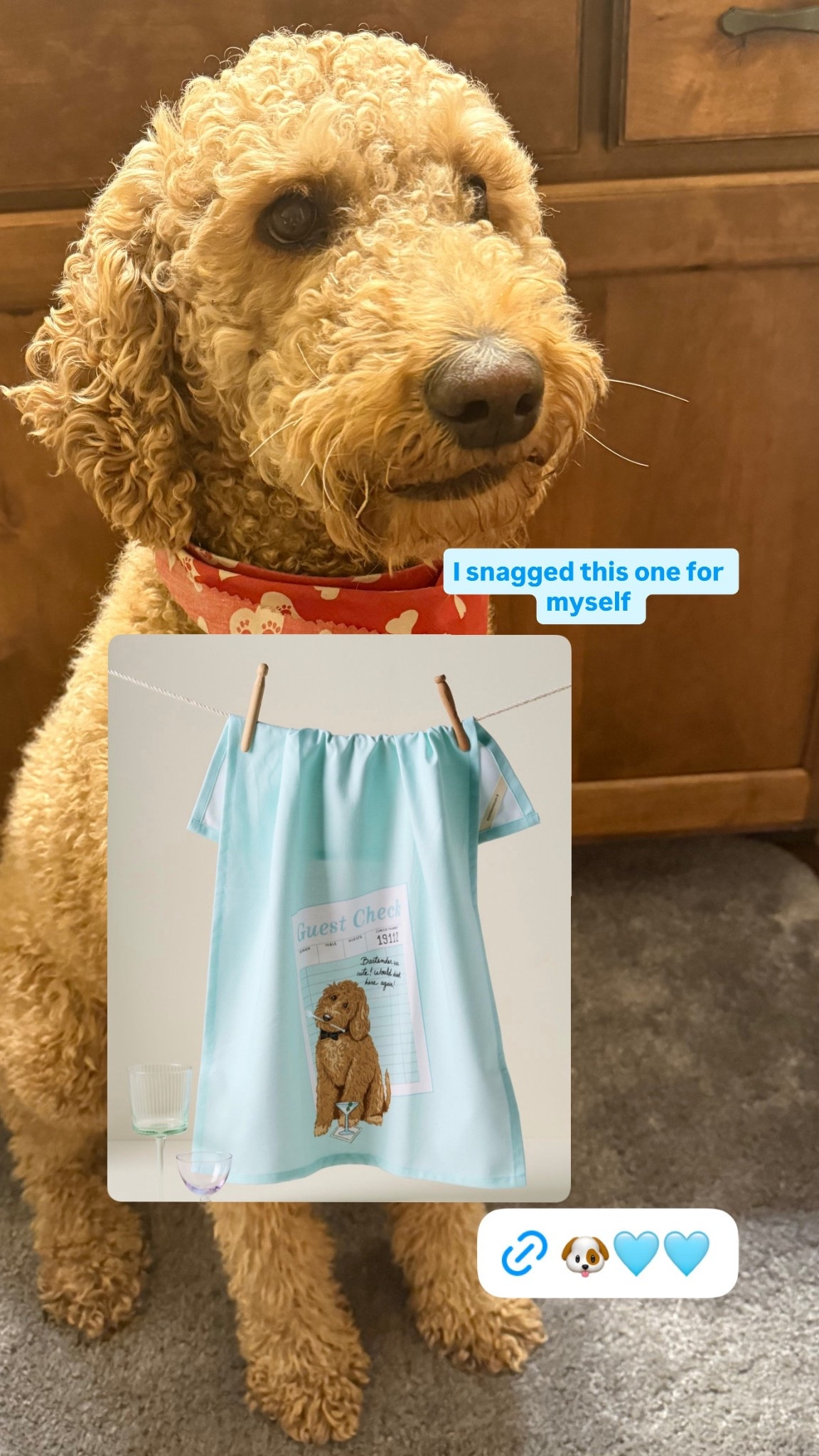 Calling all doodle lovers 🐶 

#LTKGiftGuide #LTKHoliday #LTKHome