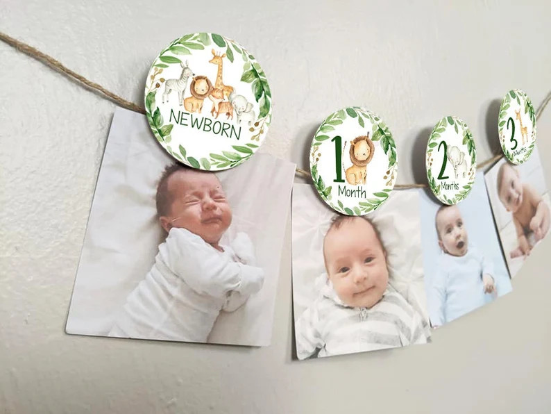 Jungle Safari 12 Month Photo Banner, Jungle First Birthday Photo Banner, Safari Picture Banner Ba... | Etsy (US)